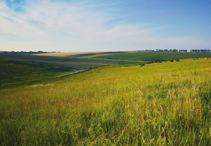 Пластові рівнини